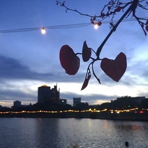 Meet your Posher, Ella